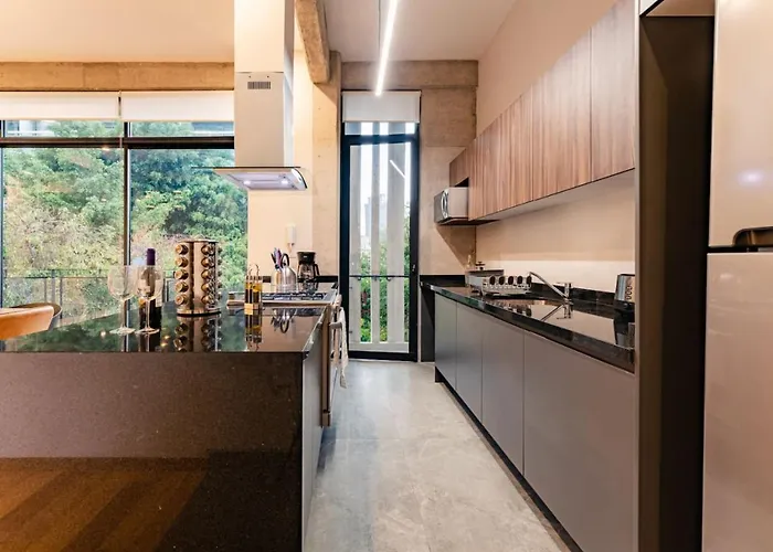 Spacious Roma Norte Loft With Art & Views Сasa de vacaciones