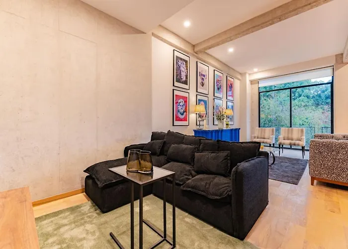 Spacious Roma Norte Loft With Art & Views Сasa de vacaciones