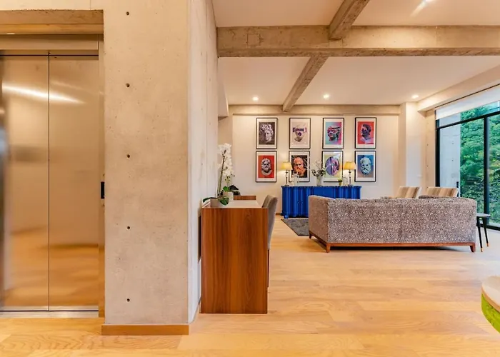 Spacious Roma Norte Loft With Art & Views Сasa de vacaciones *